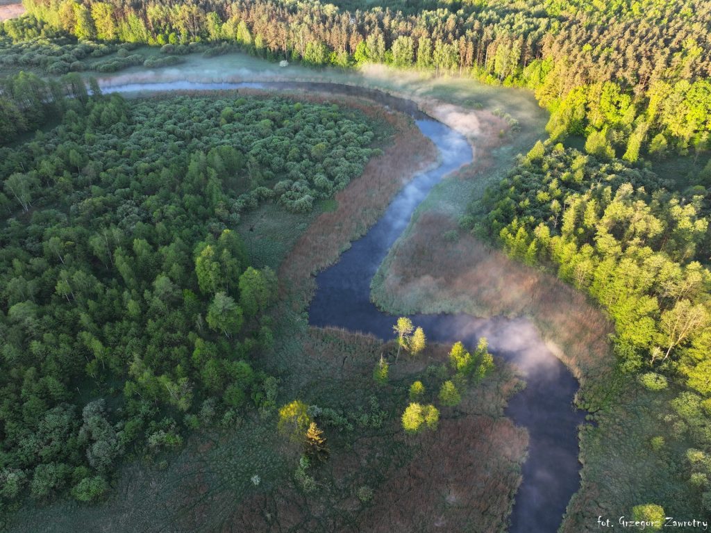 Widok z góry na meandry rzeki Krutyni za Uktą na trasie do Nowego Mostu – spływy AS-TOUR