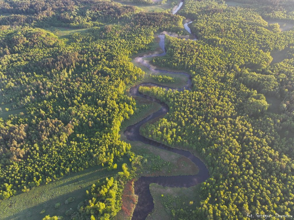 Panorama meandrów rzeki Krutyni z lotu ptaka na odcinku Ukta – Nowy Most – spływy AS-TOUR
